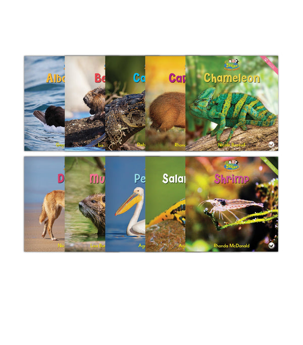 Zoozoo Animal World Set 4