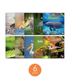 Zoozoo Animal World Wetland Sampler Set (6-Packs)