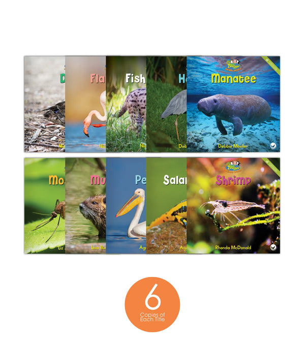 Zoozoo Animal World Wetland Sampler Set (6-Packs)