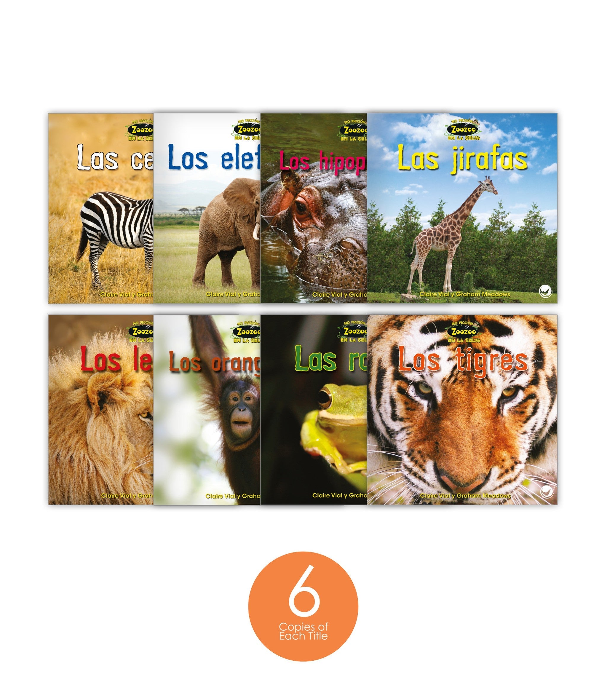 Zoozoo En la Selva No Ficción Set (6-Packs)