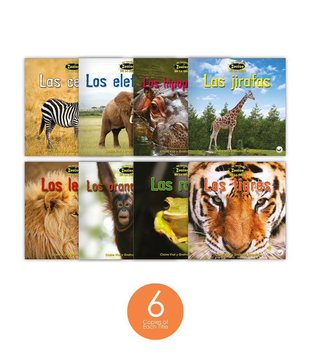 Zoozoo En la Selva No Ficción Set (6-Packs)