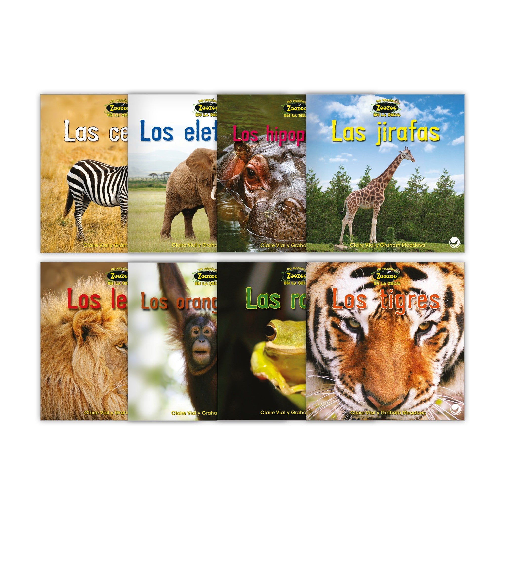 Zoozoo En la Selva No Ficción Set
