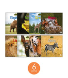 Zoozoo Into the Wild Nonfiction Set (6-Packs)