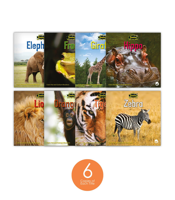 Zoozoo Into the Wild Nonfiction Set (6-Packs)
