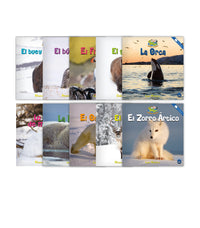 Zoozoo Mundo Animal Ártico Habitat Set