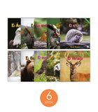 Zoozoo Mundo Animal Bosque Habitat Set (6-Packs)