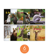 Zoozoo Mundo Animal Bosque Habitat Set (6-Packs)