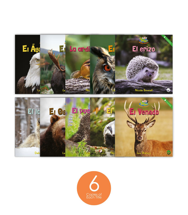 Zoozoo Mundo Animal Bosque Habitat Set (6-Packs)