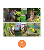 Zoozoo Mundo Animal Bosque Tropical Habitat Set (6-Packs)