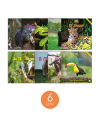 Zoozoo Mundo Animal Bosque Tropical Habitat Set (6-Packs)