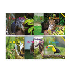 Zoozoo Mundo Animal Bosque Tropical Habitat Set