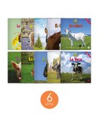 Zoozoo Mundo Animal Granja Habitat Set (6-Packs)