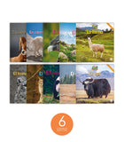 Zoozoo Mundo Animal Montaña Habitat Set (6-Packs)