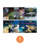 Zoozoo Mundo Animal Océano Habitat Set (6-Packs)