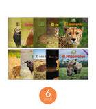 Zoozoo Mundo Animal Pradera Habitat Set (6-Packs)