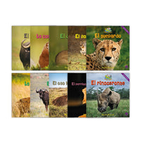 Zoozoo Mundo Animal Pradera Habitat Set