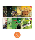 Zoozoo Mundo Animal Río Habitat Set (6-Packs)