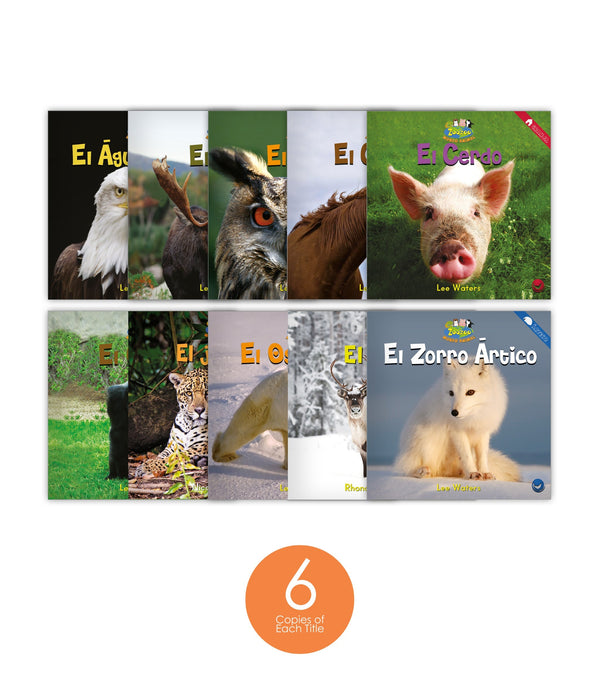 Zoozoo Mundo Animal Set 1 (6-Packs)