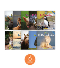 Zoozoo Mundo Animal Set 1 and 2 (6-Packs)