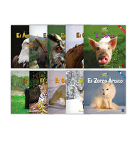 Zoozoo Mundo Animal Set 1