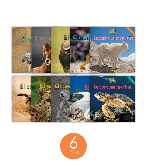 Zoozoo Mundo Animal Set 2 (6-Packs)