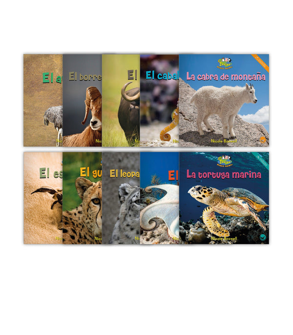 Zoozoo Mundo Animal Set 2