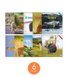 Zoozoo Mundo Animal Set 3 (6-Packs)