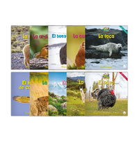 Zoozoo Mundo Animal Set 3