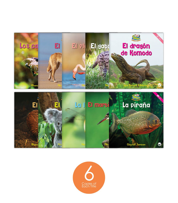 Zoozoo Mundo Animal Set 4 (6-Packs)