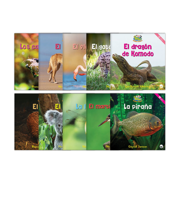 Zoozoo Mundo Animal Set 4