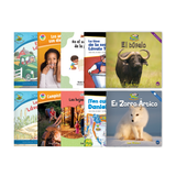 Project CLEAR Spanish A-E Set