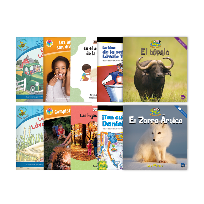 Project CLEAR Spanish A-E Set