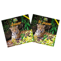 Dual Language Level F Set