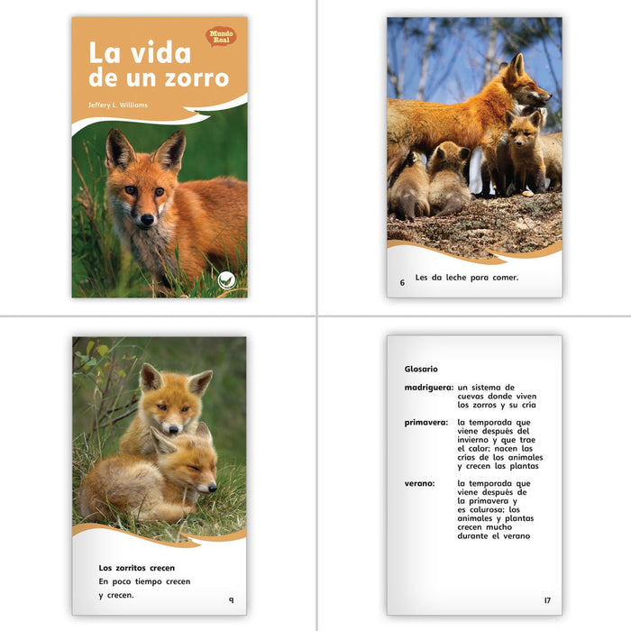 Spanish 1st Grade Classroom Library (6-Packs) (2023 Legacy Set)
