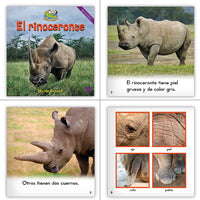 Spanish Kindergarten Top 100 Library