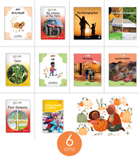 Fall Collection Complete Set (6-Packs)