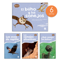El búho y los conejos Theme Set (6-Packs)