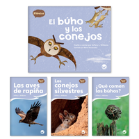 El búho y los conejos Theme Set