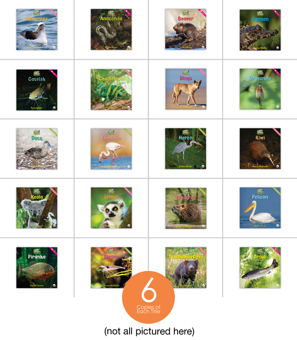 Zoozoo Animal World Set 4 Guided Reading Set