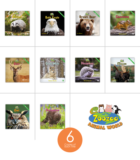 Zoozoo Animal World Forest Sampler Set (6-Packs)