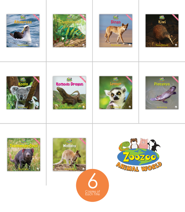 Zoozoo Animal World Island Sampler Set (6-Packs)