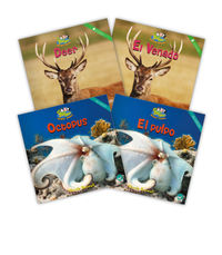 Zoozoo Mundo Animal Set 1 and 2 Dual Language Set