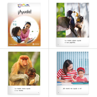 Colección Caleidoscopio Complete Set