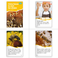 Fábulas y el Mundo Real Set 1 and 2 Guided Reading Set