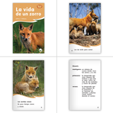 2022 K-2 Complete Spanish Guided Reading Library