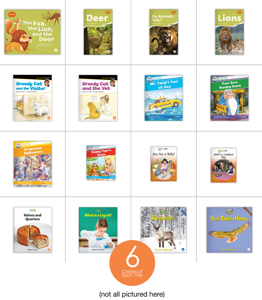 Level H Guided Reading Set Hameray Publishing