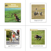 El perro glotón y el gran hueso Theme Set (6-Packs)