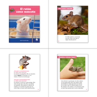 El león y el raton Theme Set (6-Packs)