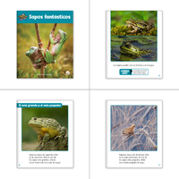 La princesa y el sapo Theme Set (6-Packs)