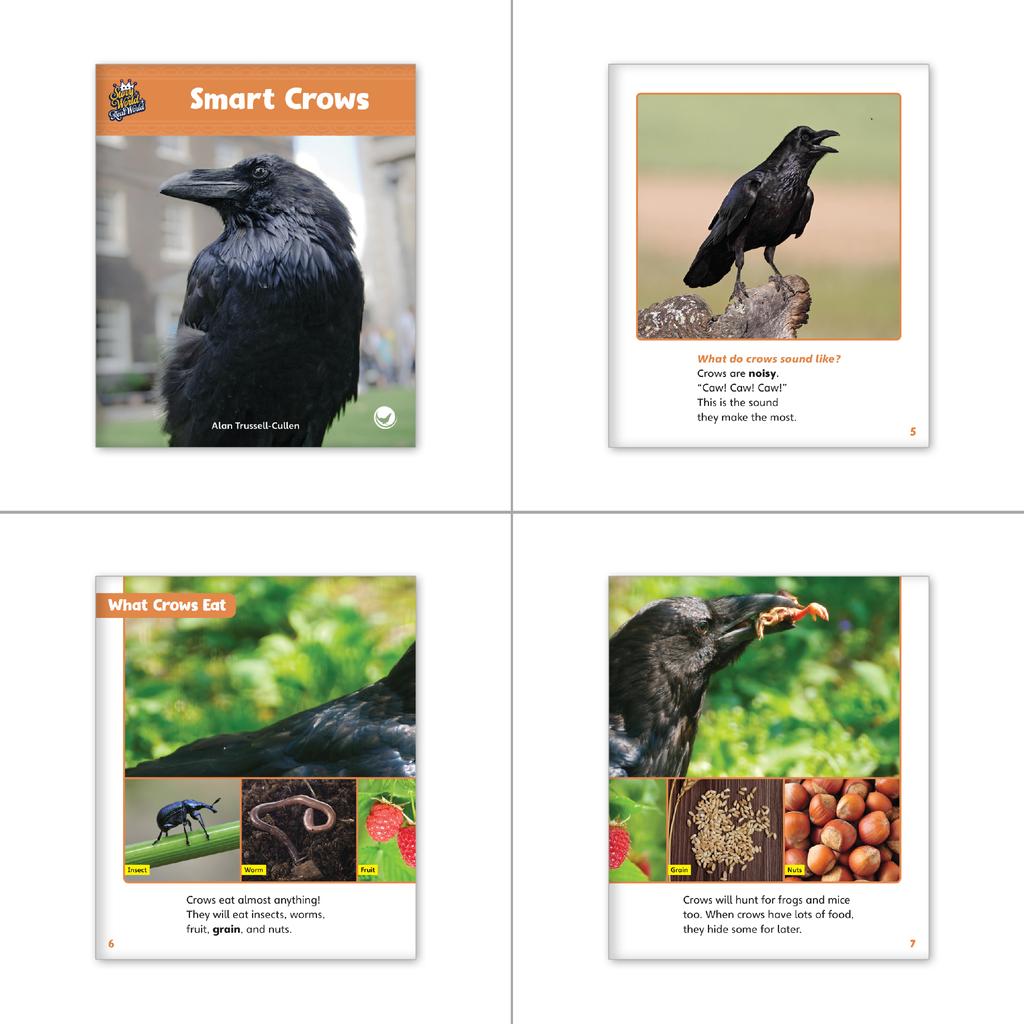 The Crow and the Rain Barrel Theme Set (6-Packs) - Hameray Publishing